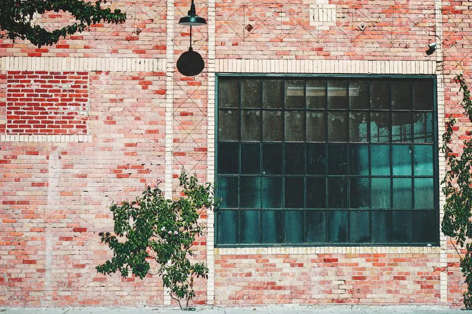 The brick elevation of an industrial building, with a tall steel casement window and ivy growing at its base